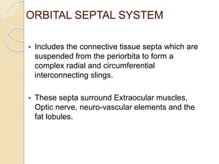 ORBITAL SEPTAL SYSTEM
 Includes the connective tissue septa which are
suspended from the periorbita to form a
complex radial and circumferential
interconnecting slings.
 These septa surround Extraocular muscles,
Optic nerve, neuro-vascular elements and the
fat lobules.
 