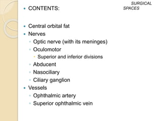  CONTENTS:
 Central orbital fat
 Nerves
◦ Optic nerve (with its meninges)
◦ Oculomotor
 Superior and inferior divisions
◦ Abducent
◦ Nasociliary
◦ Ciliary ganglion
 Vessels
◦ Ophthalmic artery
◦ Superior ophthalmic vein
SURGICAL
SPACES
 