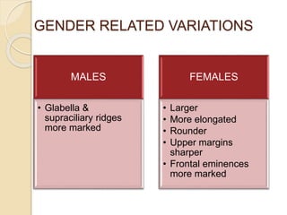 GENDER RELATED VARIATIONS
MALES
• Glabella &
supraciliary ridges
more marked
FEMALES
• Larger
• More elongated
• Rounder
• Upper margins
sharper
• Frontal eminences
more marked
 