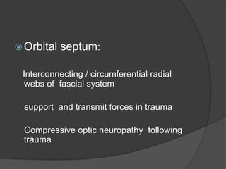  Orbital septum:
Interconnecting / circumferential radial
webs of fascial system
support and transmit forces in trauma
Compressive optic neuropathy following
trauma
 