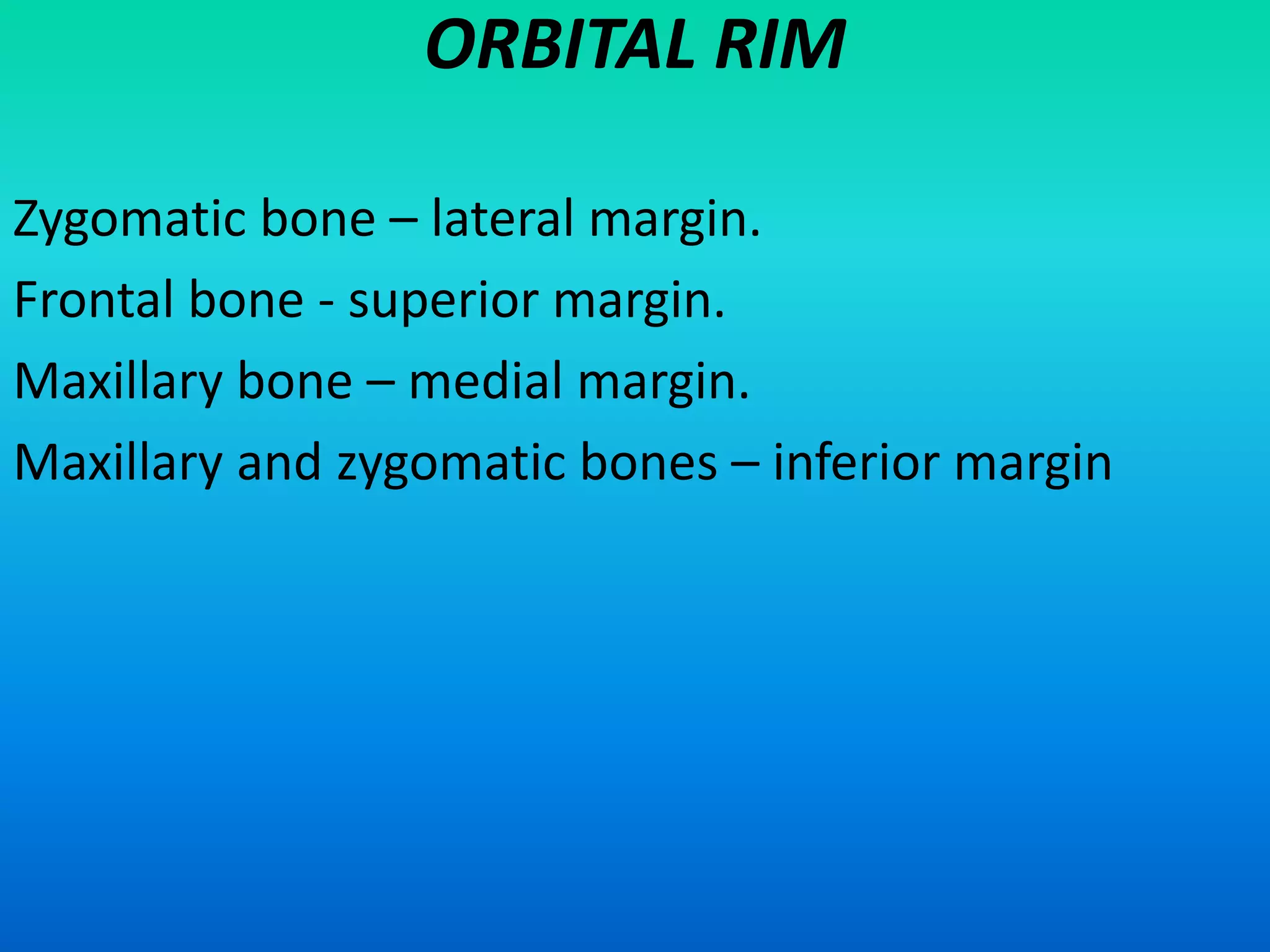 Orbit Anatomy | PPTX