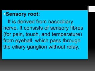 Sensory root:
It is derived from nasociliary
nerve. It consists of sensory fibres
(for pain, touch, and temperature)
from eyeball, which pass through
the ciliary ganglion without relay.
 