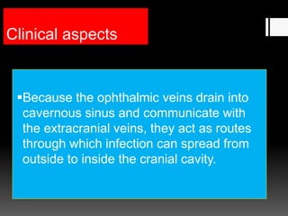 Clinical aspects
Because the ophthalmic veins drain into
cavernous sinus and communicate with
the extracranial veins, they act as routes
through which infection can spread from
outside to inside the cranial cavity.
 