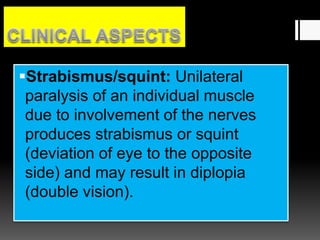 Strabismus/squint: Unilateral
paralysis of an individual muscle
due to involvement of the nerves
produces strabismus or squint
(deviation of eye to the opposite
side) and may result in diplopia
(double vision).
 