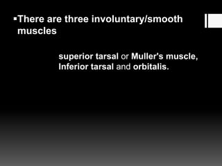 There are three involuntary/smooth
muscles
superior tarsal or Muller's muscle,
Inferior tarsal and orbitalis.
 