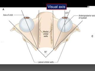 vss
vss
vss
Visual axis
 