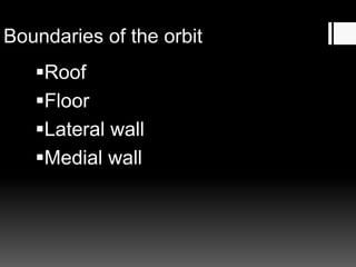 Boundaries of the orbit
Roof
Floor
Lateral wall
Medial wall
 