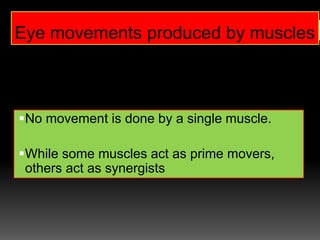 Eye movements produced by muscles
No movement is done by a single muscle.
While some muscles act as prime movers,
others act as synergists
 