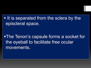  It is separated from the sclera by the
episcleral space.
The Tenon’s capsule forms a socket for
the eyeball to facilitate free ocular
movements.
 