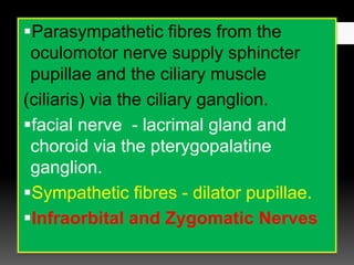 Parasympathetic fibres from the
oculomotor nerve supply sphincter
pupillae and the ciliary muscle
(ciliaris) via the ciliary ganglion.
facial nerve - lacrimal gland and
choroid via the pterygopalatine
ganglion.
Sympathetic fibres - dilator pupillae.
Infraorbital and Zygomatic Nerves
 