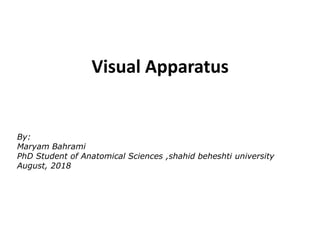 Visual Apparatus
By:
Maryam Bahrami
PhD Student of Anatomical Sciences ,shahid beheshti university
August, 2018
 