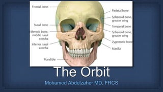 The Orbit
Mohamed Abdelzaher MD, FRCS
 