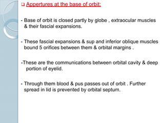  Appertures at the base of orbit:
- Base of orbit is closed partly by globe , extraocular muscles
& their fascial expansions.
- These fascial expansions & sup and inferior oblique muscles
bound 5 orifices between them & orbital margins .
-These are the communications between orbital cavity & deep
portion of eyelid.
- Through them blood & pus passes out of orbit . Further
spread in lid is prevented by orbital septum.
 