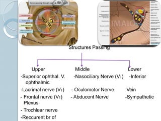 Structures Passing
Middle
-Nasociliary Nerve (V1)
Lower
-Inferior
- Oculomotor Nerve
- Abducent Nerve
Vein
-Sympathetic
Upper
-Superior ophthal. V.
ophthalmic
-Lacrimal nerve (V1)
- Frontal nerve (V1)
Plexus
- Trochlear nerve
-Reccurent br of
 