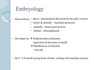 Embryology
 Derived from above –mesenchyme that encircles the optic vessicle
below & laterally – maxillary processes
medially - fronto nasal process
behind – orbitosphenoid.
 Developes by  Endochondral ossification
(part derived from base of skull)
 Membrenous ossification
(rest all)
 By 6 -7 th month laying down of bone starting with maxillary process
 