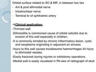 Orbital surface related to SO & MR ,in between two lies
• Ant & post ethmoidal nerve
• Intratrochlear nerve
• Terminal br of ophthalmic artery
Clinical application:
-Thinnest wall
-Ethmoiditis is commonest cause of orbital cellulitis due to
erosion of this wall especially in children.
-It is commonly erroded by chronic inflammatory lesion, cysts
and neoplasms originsting in adjuscent air sinuses.
-Injury to this wall causes troublesome haemorrhages d/t injury
to ethmoidal vessles.
-Easily fractured during injuries or orbitotomy operations.
-Medial wall is easily visualised in PAview of radiograph of skull
 