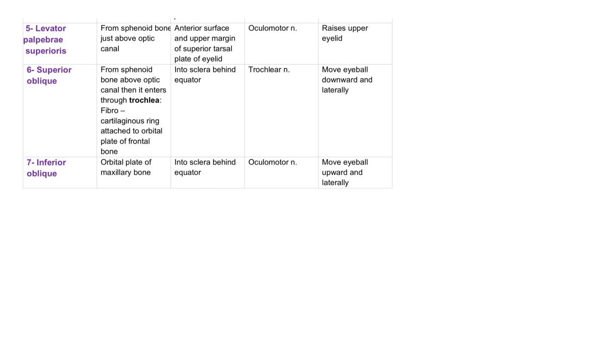Orbit presentation for medicine college the second stage | PDF