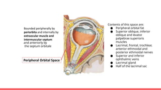 Comprehensive Anatomy and Developmental Changes of the Human Orbit | PPTX