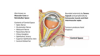 Comprehensive Anatomy and Developmental Changes of the Human Orbit | PPTX