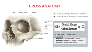 Comprehensive Anatomy and Developmental Changes of the Human Orbit | PPTX