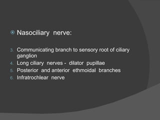 Nasociliary  nerve: Communicating branch to sensory root of ciliary ganglion Long ciliary  nerves -  dilator  pupillae Posterior  and anterior  ethmoidal  branches Infratrochlear  nerve 