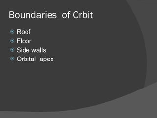 Boundaries  of Orbit Roof  Floor Side walls Orbital  apex 
