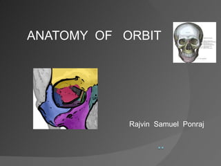 ANATOMY  OF  ORBIT  Rajvin  Samuel  Ponraj 