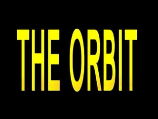 THE ORBIT 