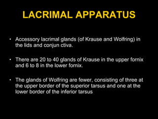 LACRIMAL APPARATUS Accessory lacrimal glands (of Krause and Wolfring) in the lids and conjun ctiva. There are 20 to 40 glands of Krause in the upper fornix and 6 to 8 in the lower fornix.  The glands of Wolfring are fewer, consisting of three at the upper border of the superior tarsus and one at the lower border of the inferior tarsus  