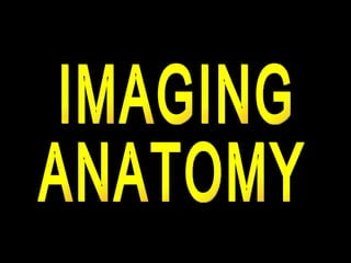 IMAGING ANATOMY 