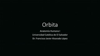 Orbita
Anatomía Humana I
Universidad Católica de El Salvador
Dr. Francisco Javier Alvarado López
 