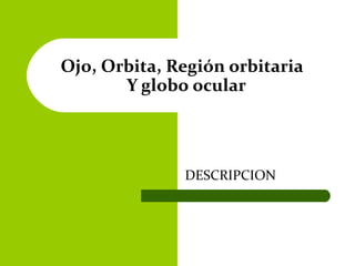 DESCRIPCION
Ojo, Orbita, Región orbitaria
Y globo ocular
 