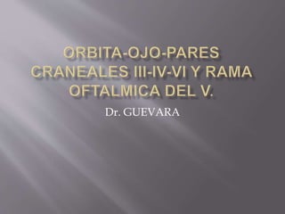 Dr. GUEVARA
 