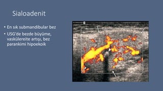 orbita-ba-boyun-radyolojisi-1-pptx