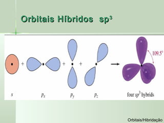 Orbitais Híbridos sp 3




                         Orbitais/Hibridação
 