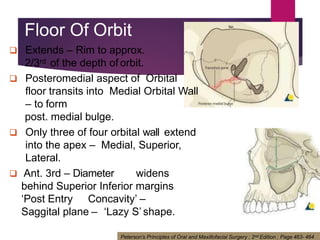 Orbital Fracture & Management | PDF