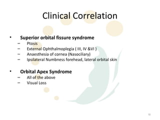 Clinical Correlation

•       Superior orbital fissure syndrome
    –     Ptosis
    –     External Ophthalmoplegia ( III, IV &VI )
    –     Anaesthesia of cornea (Nasociliary)
    –     Ipsilateral Numbness forehead, lateral orbital skin

•       Orbital Apex Syndrome
    –     All of the above
    –     Visual Loss




                                                                19
 