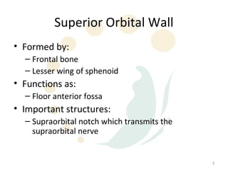 Superior Orbital Wall
• Formed by:
  – Frontal bone
  – Lesser wing of sphenoid
• Functions as:
  – Floor anterior fossa
• Important structures:
  – Supraorbital notch which transmits the
    supraorbital nerve


                                             8
 