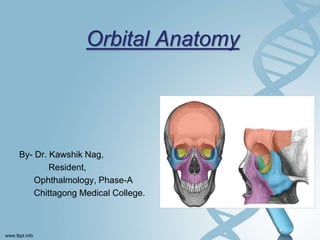 Orbital Anatomy
By- Dr. Kawshik Nag,
Resident,
Ophthalmology, Phase-A
Chittagong Medical College.
 