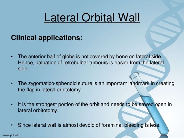 Orbital anatomy