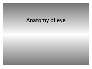 Anatomy of eye
 