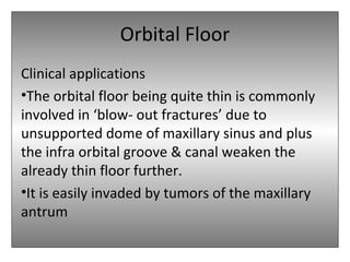 Orbital Floor
Clinical applications
•The orbital floor being quite thin is commonly
involved in ‘blow- out fractures’ due to
unsupported dome of maxillary sinus and plus
the infra orbital groove & canal weaken the
already thin floor further.
•It is easily invaded by tumors of the maxillary
antrum
 