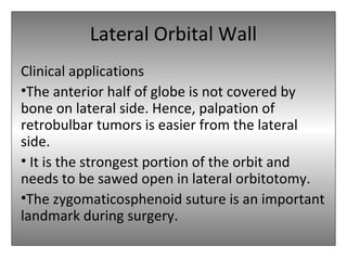 Lateral Orbital Wall
Clinical applications
•The anterior half of globe is not covered by
bone on lateral side. Hence, palpation of
retrobulbar tumors is easier from the lateral
side.
• It is the strongest portion of the orbit and
needs to be sawed open in lateral orbitotomy.
•The zygomaticosphenoid suture is an important
landmark during surgery.
 