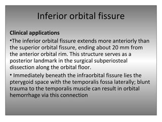 Inferior orbital fissure
Clinical applications
•The inferior orbital fissure extends more anteriorly than
the superior orbital fissure, ending about 20 mm from
the anterior orbital rim. This structure serves as a
posterior landmark in the surgical subperiosteal
dissection along the orbital floor.
• Immediately beneath the infraorbital fissure lies the
pterygoid space with the temporalis fossa laterally; blunt
trauma to the temporalis muscle can result in orbital
hemorrhage via this connection
 