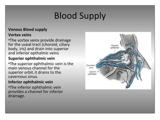Blood Supply
Venous Blood supply
Vortex veins
•The vortex veins provide drainage
for the uveal tract (choroid, ciliary
body, iris) and drain into superior
and inferior opthalmic veins
Superior ophthalmic vein
•The superior ophthalmic vein is the
main venous channel for the
superior orbit.it drains to the
cavernous sinus.
Inferior ophthalmic vein
•The inferior ophthalmic vein
provides a channel for inferior
drainage.
.
 