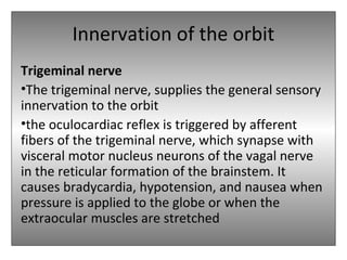 Innervation of the orbit
Trigeminal nerve
•The trigeminal nerve, supplies the general sensory
innervation to the orbit
•the oculocardiac reflex is triggered by afferent
fibers of the trigeminal nerve, which synapse with
visceral motor nucleus neurons of the vagal nerve
in the reticular formation of the brainstem. It
causes bradycardia, hypotension, and nausea when
pressure is applied to the globe or when the
extraocular muscles are stretched
 