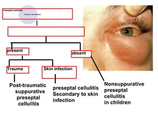 orbital cellulitis.ppt_20250523_224531_0000.pdf