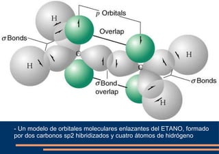 - Un modelo de orbitales moleculares enlazantes del ETANO, formado por dos carbonos sp2 hibridizados y cuatro átomos de hidrógeno 