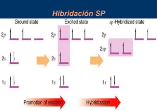 Hibridación SP 