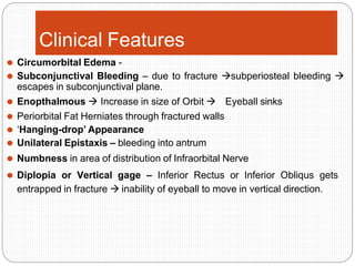Clinical Features
⚫ Circumorbital Edema -
⚫ Subconjunctival Bleeding – due to fracture subperiosteal bleeding 
escapes in subconjunctival plane.
⚫ Enopthalmous  Increase in size of Orbit  Eyeball sinks
⚫ Periorbital Fat Herniates through fractured walls
⚫ ‘Hanging-drop’ Appearance
⚫ Unilateral Epistaxis – bleeding into antrum
⚫ Numbness in area of distribution of Infraorbital Nerve
⚫ Diplopia or Vertical gage – Inferior Rectus or Inferior Obliqus gets
entrapped in fracture  inability of eyeball to move in vertical direction.
 